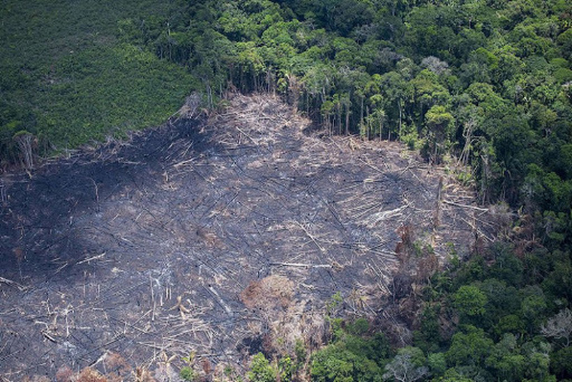 ПРОДОЛЖУВА ПУСТОШЕЊЕТО ВО АМАЗОНИЈА: За шест месеци уништени 3.988 квадратни километри од најголемата прашума во светот