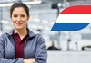 Плата до 20.000 денари, искуство не се бара - холандска компанија вработува!