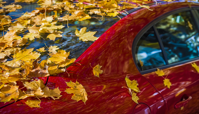 Зошто е важно да ги чистите паднатите лисја врз автомобилот?