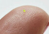 Вака изгледа најмалата чанта на светот: Помала е од зрно сол, а може да се види единствено под микроскоп