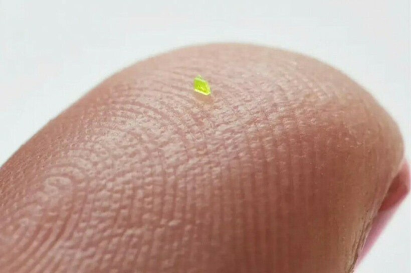 Вака изгледа најмалата чанта на светот: Помала е од зрно сол, а може да се види единствено под микроскоп