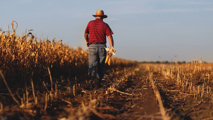„Никој не ме прашува дали ме боли грбот“ – земјоделците се чувствуваат измамени од препродавачите