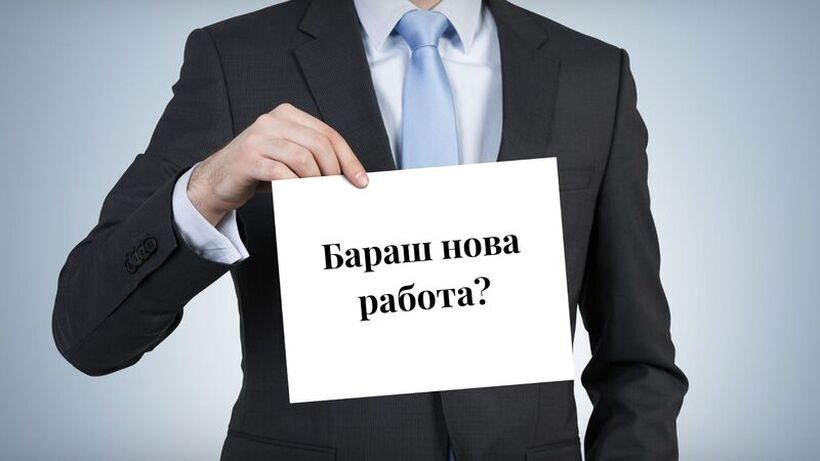 На нашиот сајт се достапни над 600 огласи за работа: Пронајдете ја својата идеална позиција– аплицирајте веднаш!