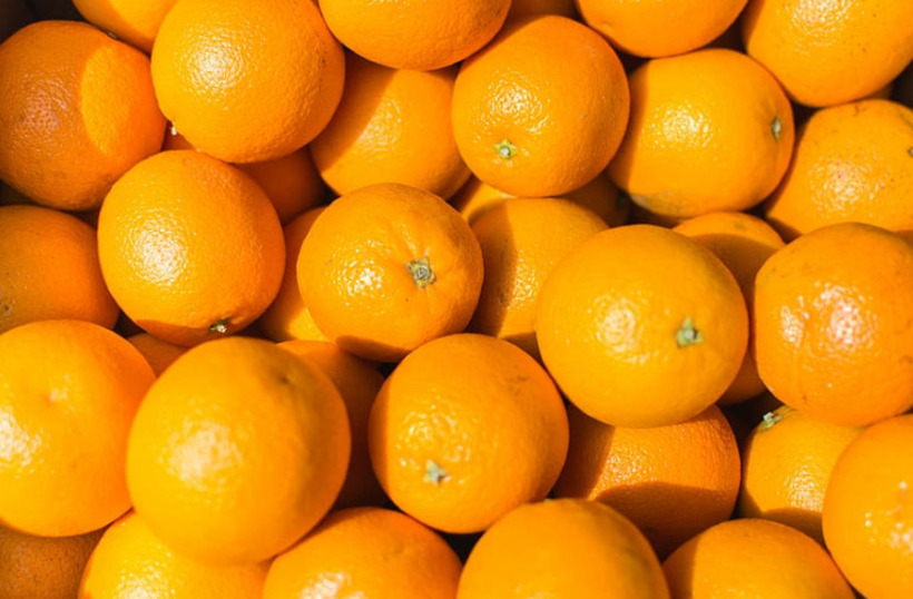 Кризата со сок од портокал води кон потрага по алтернативно овошје