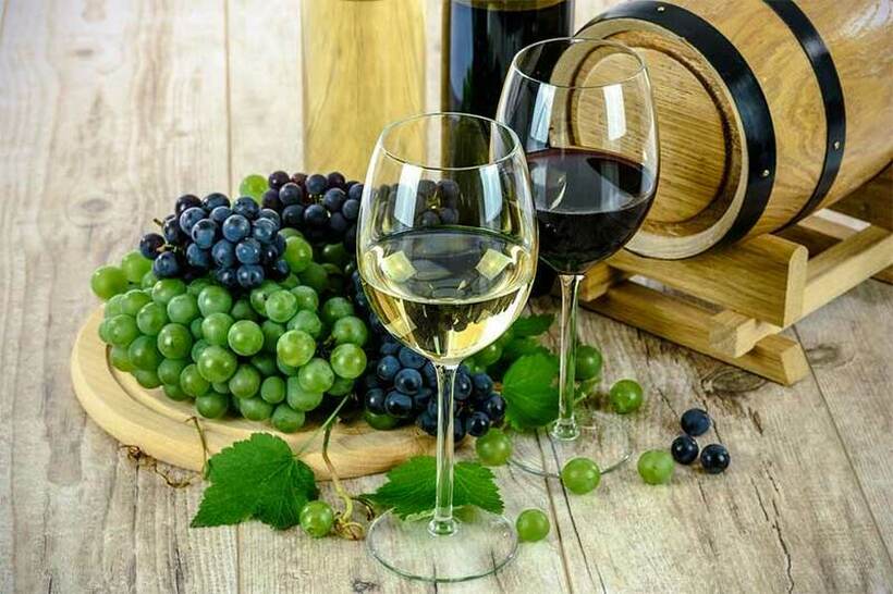 Италија е најголем производител на вино во светот, а еве на кое место е Македонија