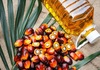 Како палминото масло незабележливо го замени сончогледовото масло?