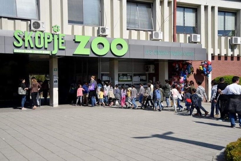 Зоолошката градина руши рекорди: Изминатиот викенд над 14.000 посетители