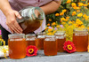 Тегла мед за 20 евра – пчеларите се правдаат со зголемени трошоци