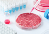 САД за прв пат одобри продажба на месо произведено во лабораторија