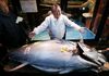 ФОТО| Во Јапонија туна продадена за 257.000 евра