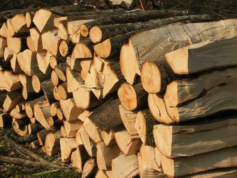 Пенизонерите од Штип не чекаат за огревно дрво - Купуваат сега за следната сезона