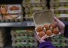 Цените на јајцата пред Велигден ќе се покачат за 50 отсто, една табла ќе чини над 300 денари