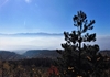 Маглата се поткрена, смогот остана, Скопје на петто место во светот според загаденоста