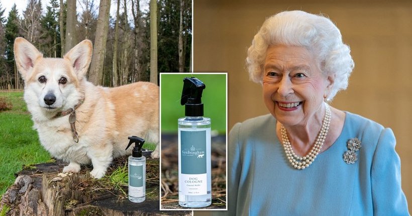 Кралицата Елизабета лансираше парфем за кучиња со мирис на крајбрежни прошетки