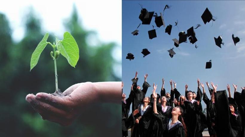 Филипини: Студентите мора да засадат најмалку 10 дрвја ако сакаат да дипломираат