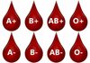 Ако ја имате оваа крвна група, тогаш сте посебни: Носите некои од најретките особини во човечката раса