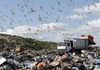 Во „Дрисла“ не се селектира и рециклира отпад, иако Скопскиот регион создава најмногу ѓубре