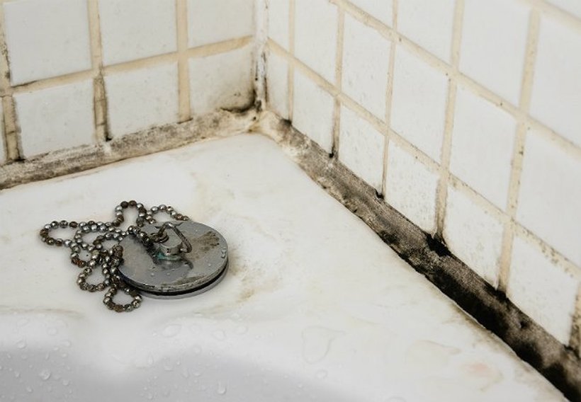 Заборавете на црната мувла во бањата со овој едноставен трик со состојки кои сигурно ги имате дома