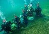 И годинава нуркачите на Амфора во Охридското Езеро ја украсија новогодишната елка под вода (ВИДЕО)