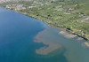 Загадувањето на Охридското езеро алармантно – водата во одредени делови темно кафеава