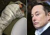 Илон Маск отпушти нови 200 луѓе од „Твитер“, меѓу нив и директорката која остануваше по 24 часа и спиеше на работа