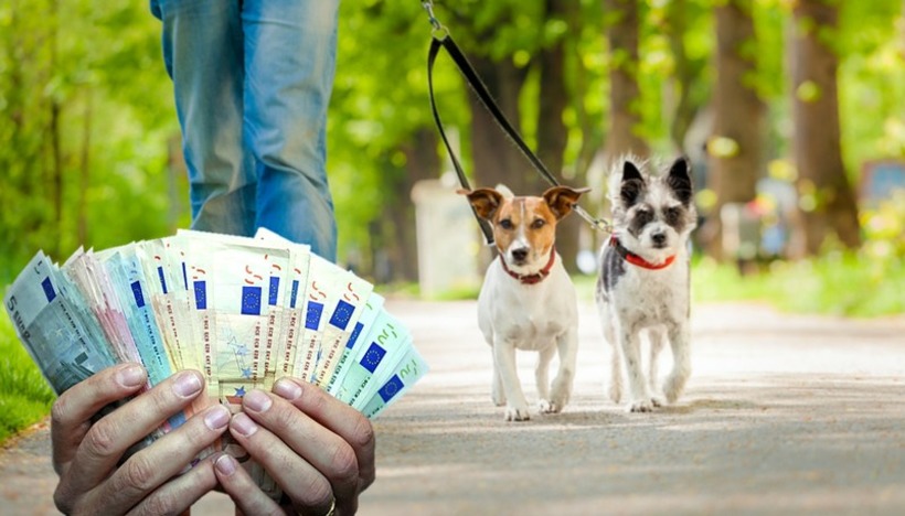 КАЗНИ И ДО 900 евра за сопствениците на кучиња доколку не ги исполнат ОВИЕ УСЛОВИ