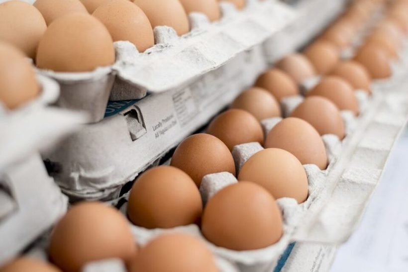 Бидете внимателни при купување на јајца пред Велигден – Еве што значат ознаките на нив