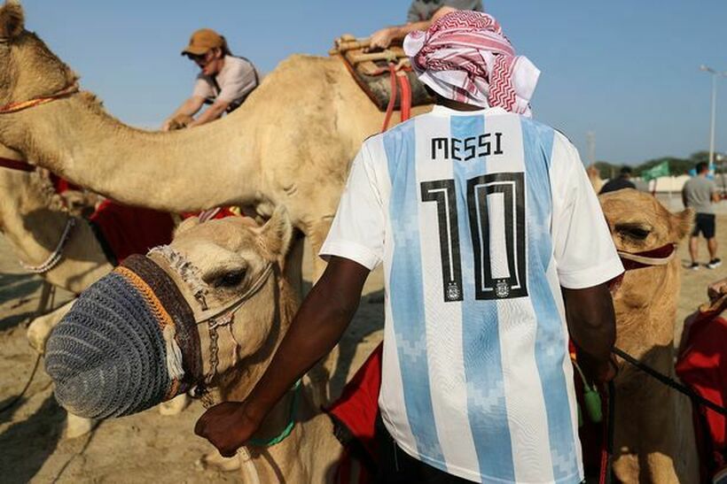 Здравствени експерти предупредуваат: Навивачите се враќаат со „грип од камила“ од Светското првенство