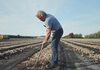 Овој земјоделец е милионер, но сепак со сопствени раце го собира кромидот од неговите ниви