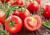 Ако сакате да имате домати од јули до ноември посадете ги вака: Ќе бидат отпорни на сите болести!