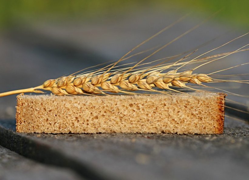 Србија одобри извоз на пченица и пченка за Македонија