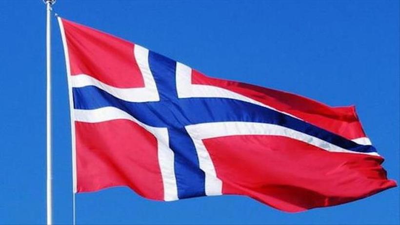 Верувале или не: Во Норвешка плаќаат 2.560 евра за фризер за кучиња