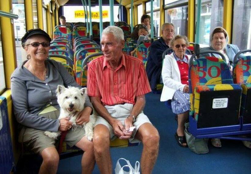 Каква е одлуката? Дали ќе можат кучињата во автобус?
