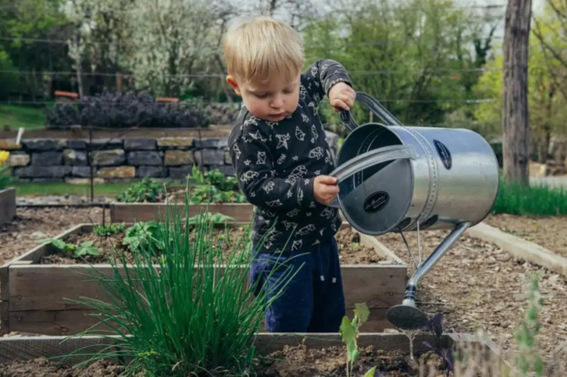 Децата во оваа земја знаат да садат моркови, зелена салата и компири! Со своите учители обработуваат градини и учат како се одгледуваат растенијата