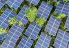 Португалија гради соларна централа и ќе вработува 2.500 луѓе