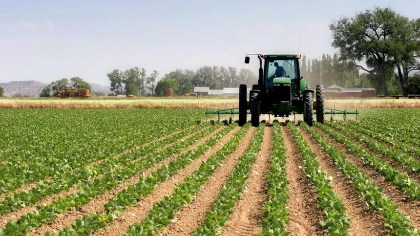 За земјоделците донесена одлука за исплата на штетите од елементарни непогоди