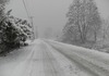 НЕВРЕМЕ ПРЕДИЗВИКА ХАОС: Голем број домаќинства без струја поради обилниот снег