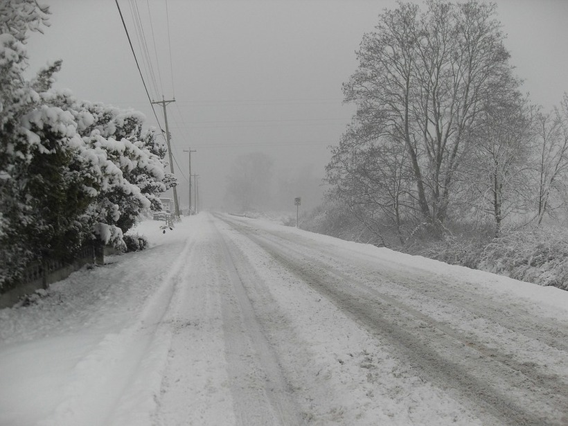 НЕВРЕМЕ ПРЕДИЗВИКА ХАОС: Голем број домаќинства без струја поради обилниот снег