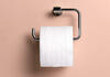 128 години стар прирачник ја реши дилемата како правилно се става тоалетната хартија