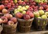Преспанските овоштари во ќорсокак - јаболката ги продаваат за само 2 денари