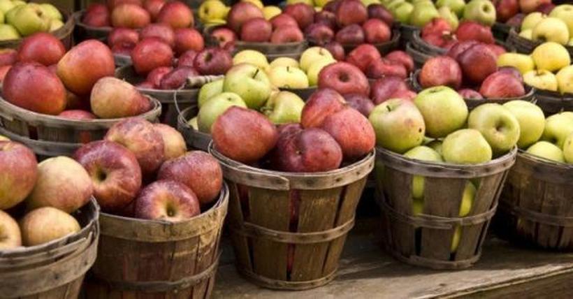 Преспанските овоштари во ќорсокак - јаболката ги продаваат за само 2 денари