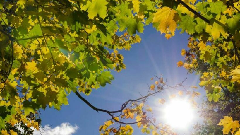 Ќе освежи: Синоптичарите кажаа какво ќе биде времето во првите денови од септември