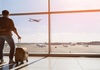 ПЛАТА 3.300 ЕВРА: Авиокомпанија бара 2 кандидати за бесплатно да патуваат низ светот