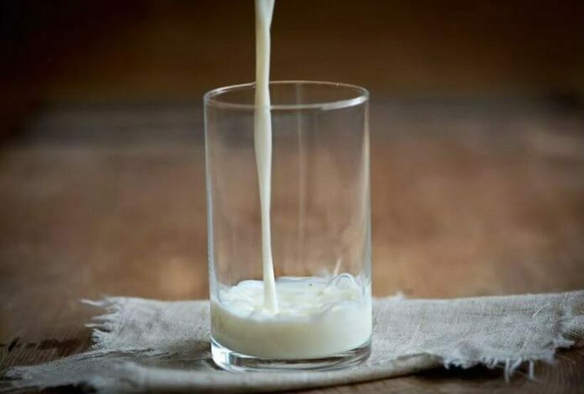 Млекото во Австрија е поевтино отколку во Македонија