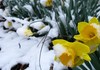 Временска прогноза за март - ќе дојде ли конечно пролетта