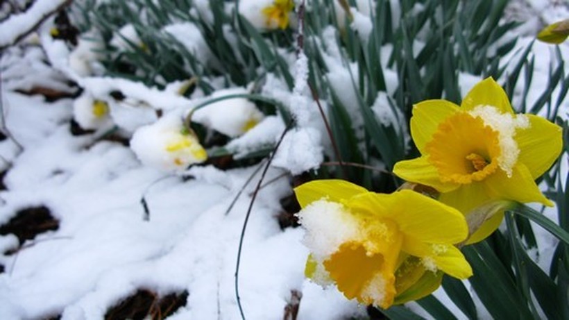 Временска прогноза за март - ќе дојде ли конечно пролетта
