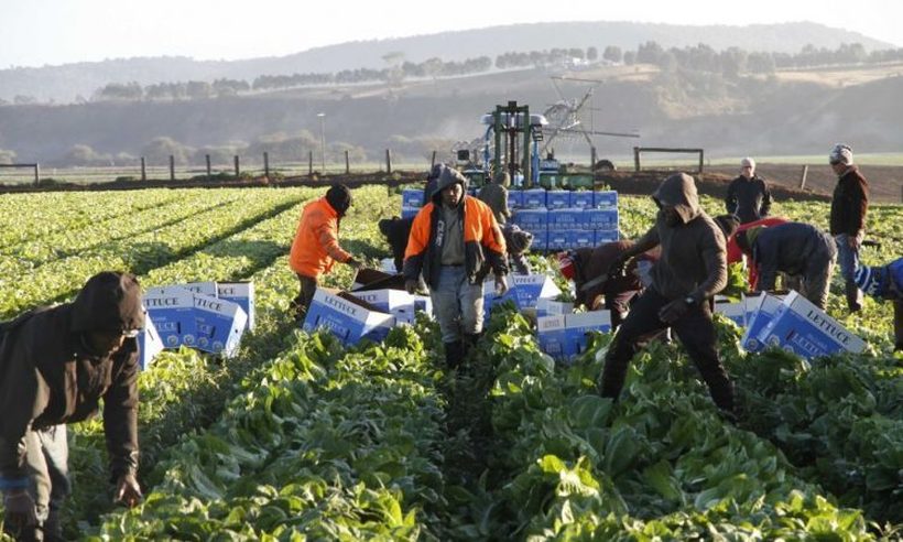 Бугарските сезонски работници добија дозвола да летаат за Германија