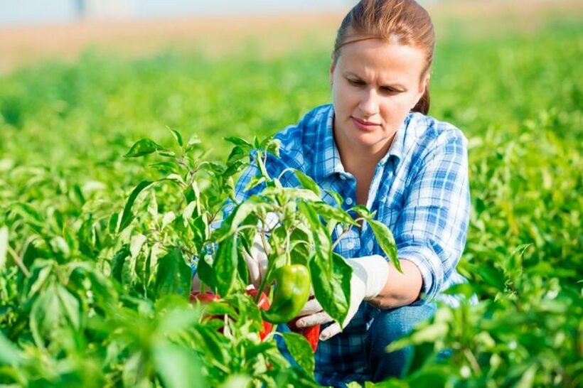Субвенции за жени земјоделки