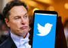 Анкета: Го бидува ли Маск за шеф на Твитер?
