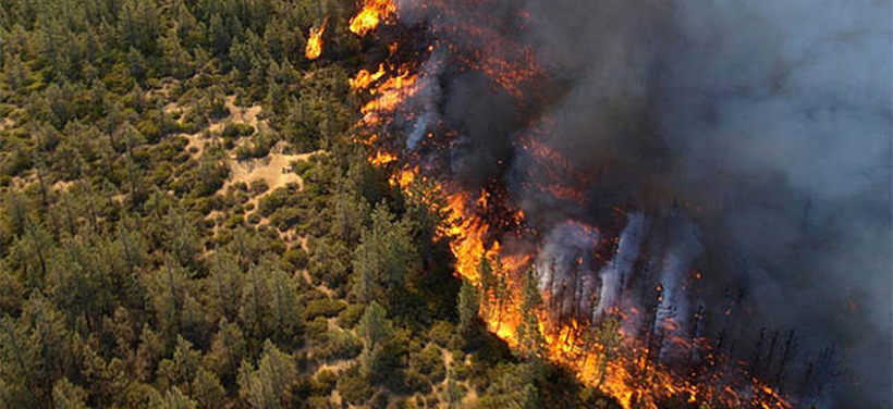 Пожарите ги опустошија „белите дробови“ на земјата